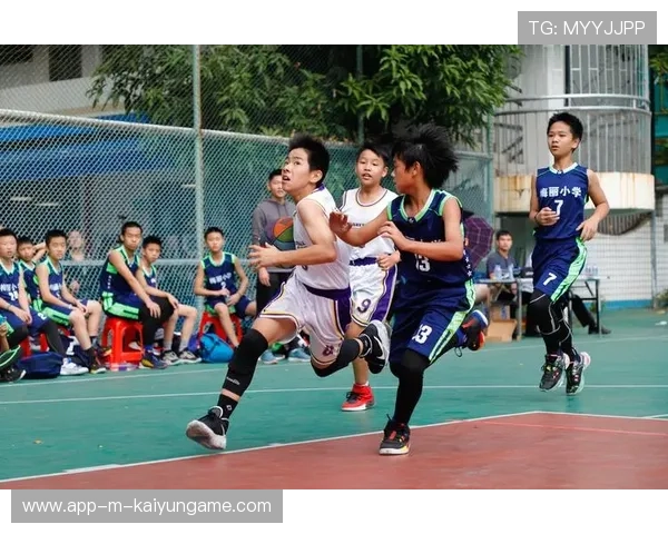 青春拼搏铸就中国篮球辉煌，青春篮球题材的作文