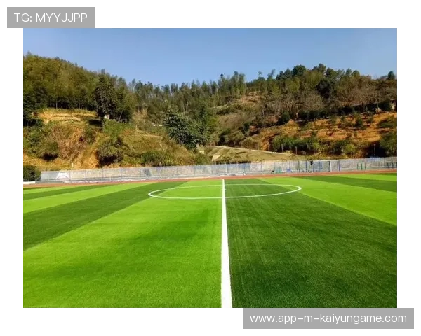 足球场地草皮保养中的环保药剂替代研究，足球场草皮怎么保养